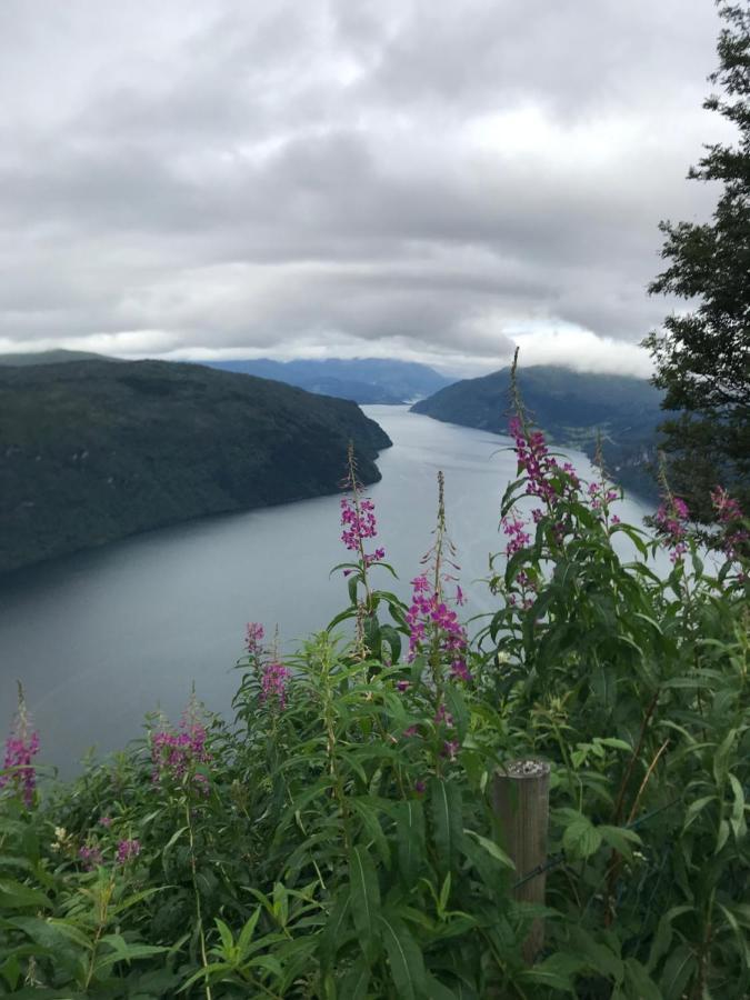 Panorama Fjord Olden Lejlighed Eksteriør billede